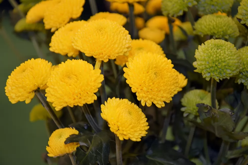 Техкомплект готується до участі у Комунтех-2018, фото 21