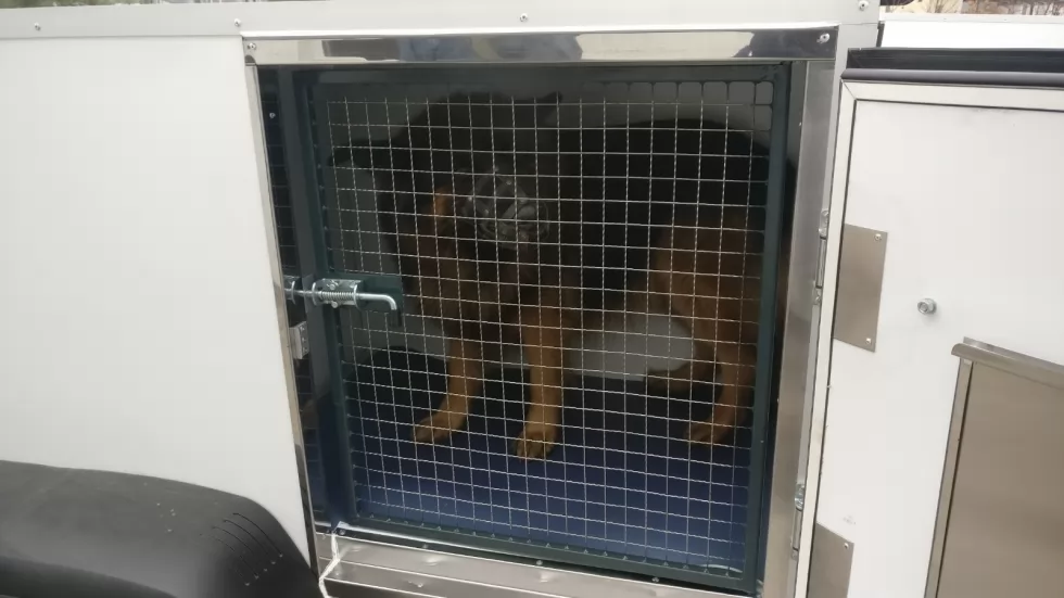 Кінологічна служба Нацгвардії отримала причепи для транспортування службових собак, фото 8